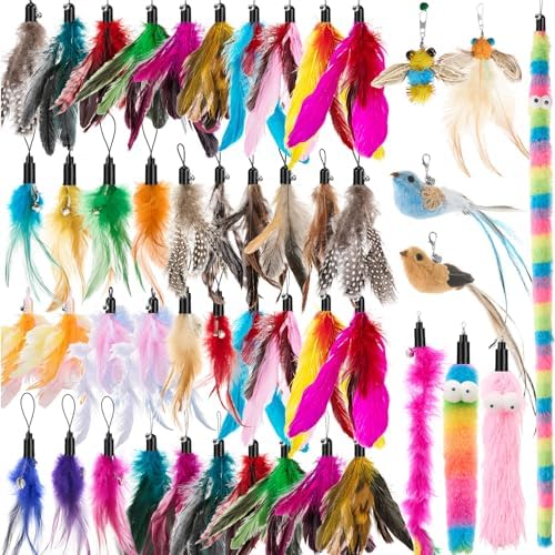 Leitee 50 Pcs Cat Feather Toys Bulk Wand, Mixed Color, Mixed Style