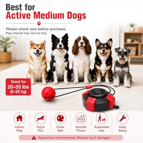 Interactive Suction Cup Dog Toy for Boredom Relief, Tug of War and Self Play with Rope and Rubber Ball, Dog Toys to Keep Them Busy Indoors Or Outdoors (BR)