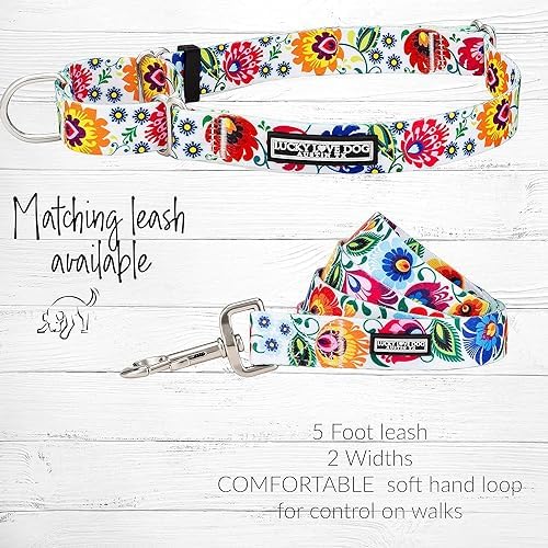 Lucky Love Dog Martingale Collar & Leash Set No Slip Cute – Ladybird, Large