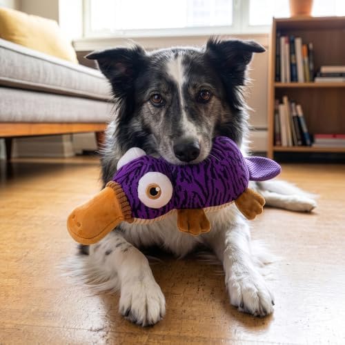 KONG Armor Dog Toy, Durable Plush (Platypus)