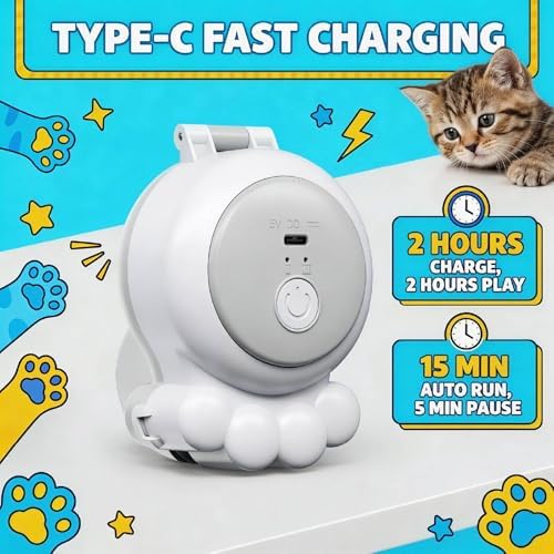 2-in-1 Electric Cat Wand, Rechargeable Auto Toy, Suction & Hanging