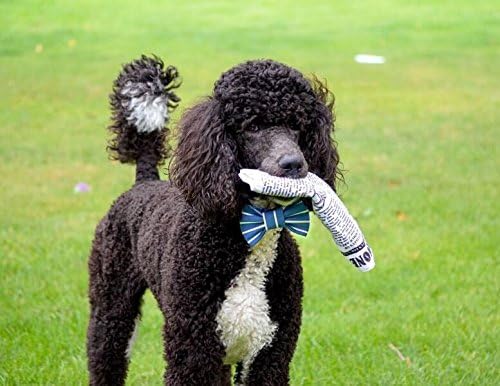 Pet Qwerks Plush Interactive Dog Toys - Newspaper Squeaker Toy - 10 in