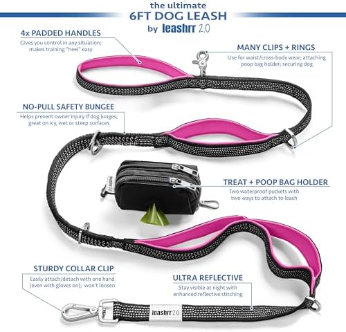 Heavy Duty Dog Leash for Large Dogs – 6FT Reflective Bungee with Padded Handles, Strong Carabiner Clip, No Pull Control for Medium & Large Breeds, Includes Poop Bag Holder & Treat Pouch (Purple-Blue)