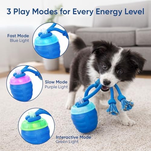 Interactive Dog Toys, Pelota Interactiva Inteligente para Perros, Motion Activated Automatic Rolling Ball for Dogs with Music (Blue)