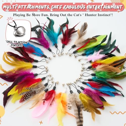 Leitee 50 Pcs Cat Feather Toys Bulk Wand, Mixed Color, Mixed Style