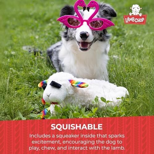 Multipet Lamb Chop Dog Plush Toy w/Birthday Hat - Squeaky Toy for All Dogs - Soft Plush - Stuffed Animal Dog Toys for Playing - Cute Birthday Toy (10.5”, Pink Hat, 5 Squeakers)