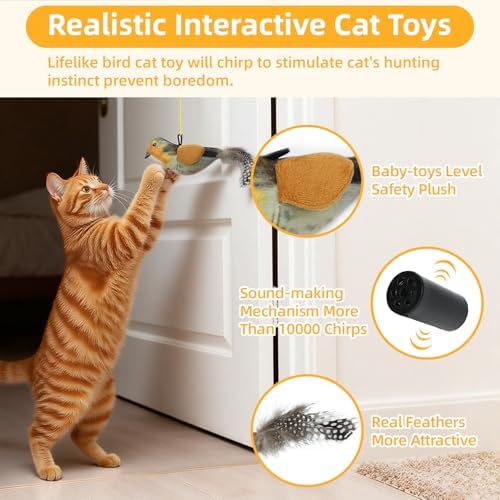 Tocirelo Interactive Hanging Cat Toy Bird with Catnip Feather, Door Cat Toy