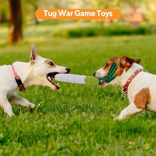 LIFLIX Dog Rope Toy 2PCS, Tug of War Dog Toy, Cute Carrot Dog Toy with Crinkle Paper Tags