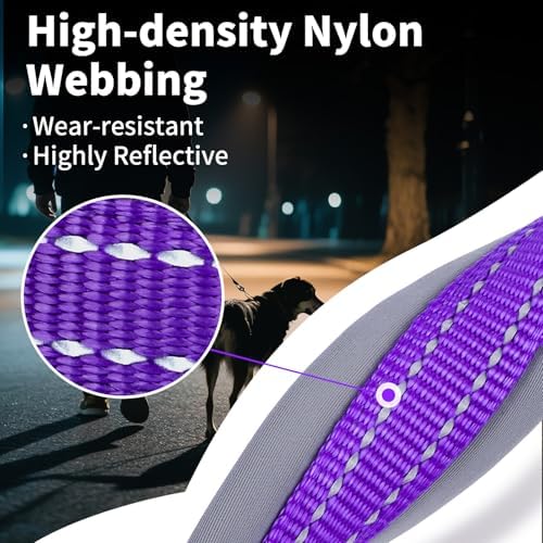 Segarty Reflective Small Dog Collars for Female Dogs neck 10.8-14in, Adjustable Wide Soft Comfortable Breathable Neoprene Padded Nylon Collar Heavy Duty Metal Buckle for Puppy Small Breeds (S, Purple)
