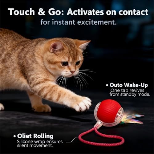 JBD Automatic Cat Toy Ball for Indoor Cats, Interactive Self Moving Electronic Cat Toys, USB Rechargeable, Silent Auto Rolling Kitten Toy for Boredom Relief & Exercise