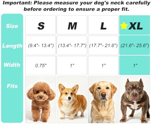Reflective Dog Collar for XLarge Dogs Wide Padding 6 Holes Adjusta