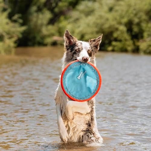 Chuckit! Paraflight Flying Disc Dog Toy, Floats, Size Large (Pack of 12)
