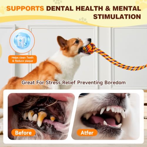 Interactive Dog Toy for Tug of War with Rope Ball for Small Dogs,Orange