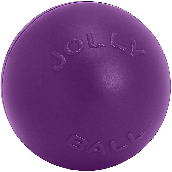 Jolly Pets Push-N-Play Large Dog Ball Toy, 10 in, Purple