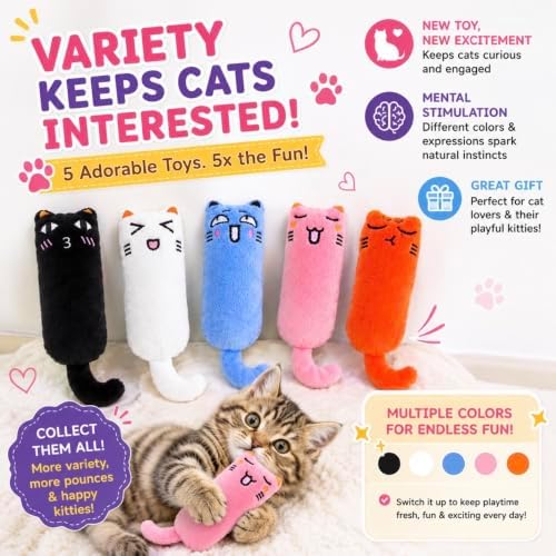Plush Catnip Cat Toy with Crinkle Paper – Interactive Cat Kicker Toy for Indoor Cats, Soft Stuffed Kitten Toy, Set of 5 -Kitty Whiskers Playhouse