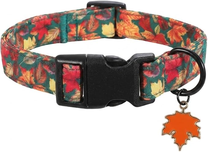 Fall Dog Collar, Dog Collar for Medium Dogs, M
