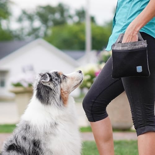 Blue-9 Inspire Dog Training Treat Pouch, Convenient Storage and Easy Access for Treats