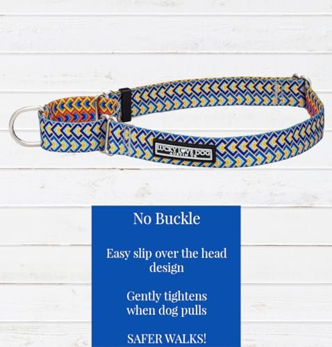 Lucky Love Dog Martingale Collar for Small Dogs No Slip – Murphy, Small
