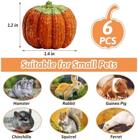 Fhiny 6 PCS Rabbit Chew Toys, Natural Pumpkin Carrot Timothy Grass Guinea Pig Chew Toys for Teeth Bunny Molar Snacks Dental Care Hamster Treats for Bunny Guinea Pig Chinchilla Hamster Gerbil
