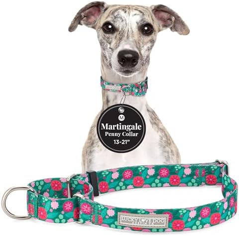 Lucky Love Dog Martingale Collar for Medium Dogs No Slip – Penny, Medium