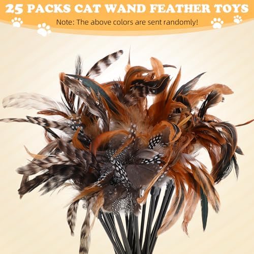 Leitee 25 Pcs Cat Feather Toy Wand Bulk Interactive Stick, Classical Color