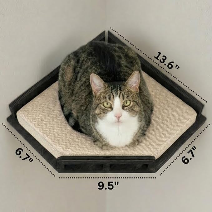 INICIO Cat Wall Shelves - Corner Shelf with 3 Cat Wall Steps - Black | Safe and Sturdy Cat Shelves for wall, Steps and Shelf for Indoor Cats up to 15lbs - Cushioned Perch for Climbing and Playing