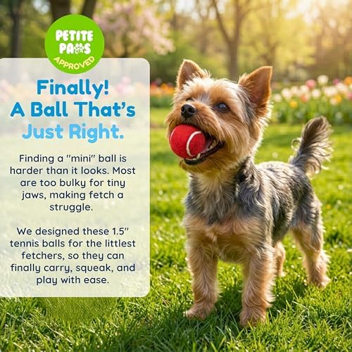 Colorful Squeaky Tennis Balls for Small Dogs and Puppies - 1.5 Inch - 12 Pack - Dog Training Toys for Positive Reinforcement, Interactive Squeaker Ball To Engage Attention Outside, Ball Launcher Fetch
