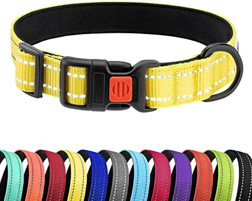 Reflective Dog Collar, Quick-Release Buckle (Yellow, 12-16 Inch)