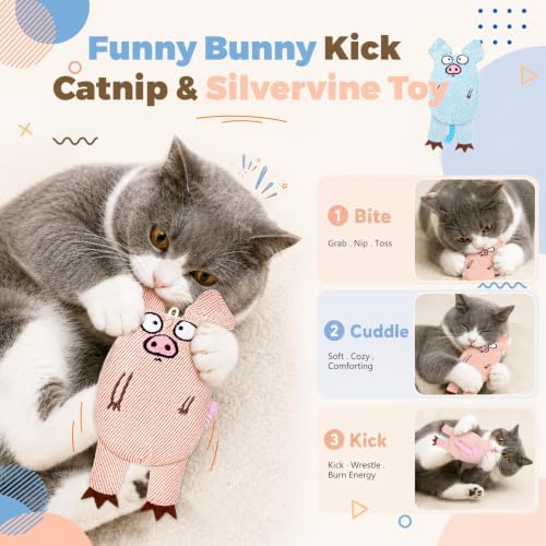Cat Toys for Indoor Cats, 2 PCS 8000mg A+Natural Catnip Silvervine Crinkle