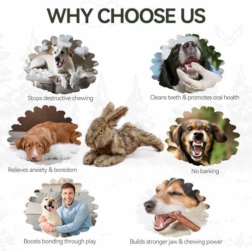 ALL FOR PAWS Squeaky Dog Toys, Dog Stuffed Animal Toys, Plush Toy for Small Medium Large Dogs, Puppy Chew Toy with Squeaker, Brown Rabbit-S