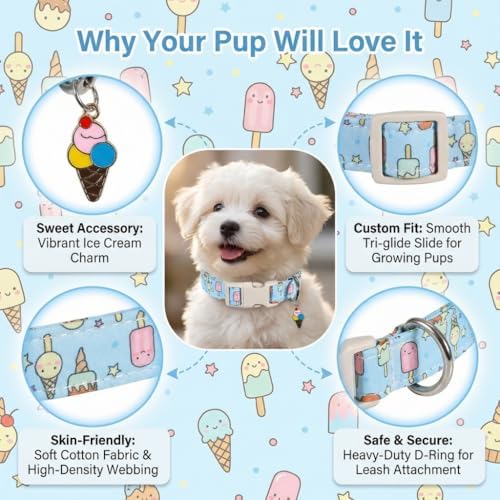 Cute Dog Collar, Girl Boy Dog Collar for Medium Dogs, Blue Collar with Ice Cream Print for Spring Summer, Adjustable Pet Collar Made of Soft Durable Fabric and Robust Buckle, M