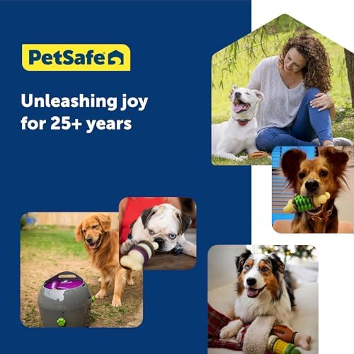 PetSafe Automatic Dog Ball Launcher