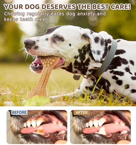 Durable Dog Chew Toy for Aggressive Chewers, Tough Dental Toy for Teeth Cleaning, Boredom & Anxiety Relief, Long-Lasting Toy for All Dog Sizes & Teething Puppies, Keep Them Busy
