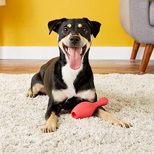 JW Pet Bouncin' Bowlin Pin Dog Toy, Large (Assorted Colors) (Pack of 2)