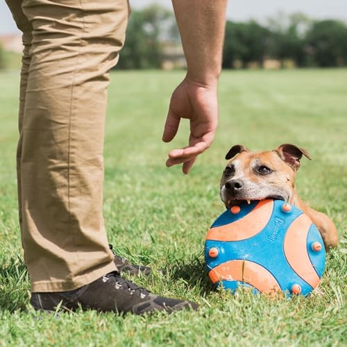 Chuckit! Whistle Flight Fetch Toy, Orange/Blue, for Medium to Large Dogs