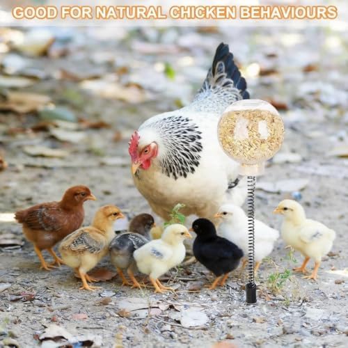 2 Pack Chicken Pecking Toys, Chick Interactive Slow Feed Enrichment Toy, Chicken Swing Feeder with Spring and Ground Stake, Coop Accessories for Hens Poultry Duck Birds Parrots