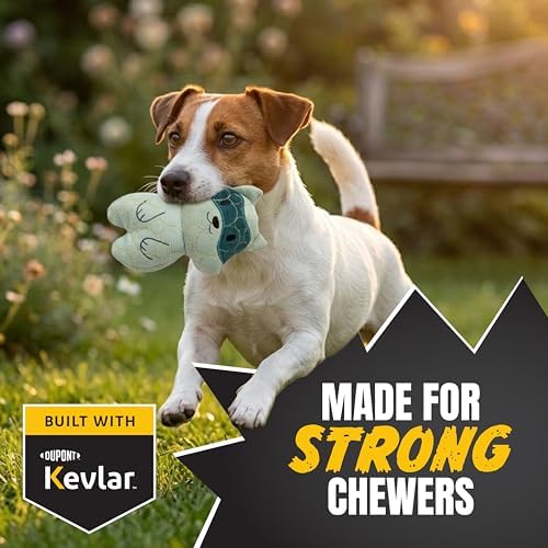 Bite Force - Durable & Strong Dog Toy Racoon with Squeaker, Kevlar-Reinforced Seams for Aggressive Chewers, Plush Pet Toy for Small Medium Large Dogs