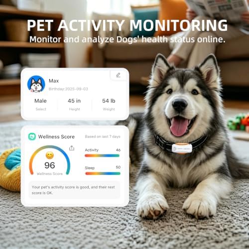 DBDD GPS Dog Tracker, 12-Mo Sub, Real-Time Loc, E-Fence, Health Monitor