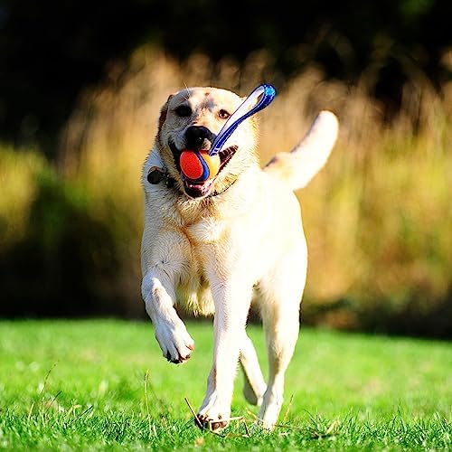 Chuckit! Ultra Tug Dog Toy, Medium, Fetch & Tug Ball for Dogs 20-60 Pounds