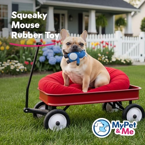My Pet & Me Rubber Squeaky Dog Toys for Small Dogs and Puppies, Soft Latex Squeak Toy for Light to Moderate Chewers, Teething and Fetch Play with Squeaker (Blue Mouse, 4.3 Inch)
