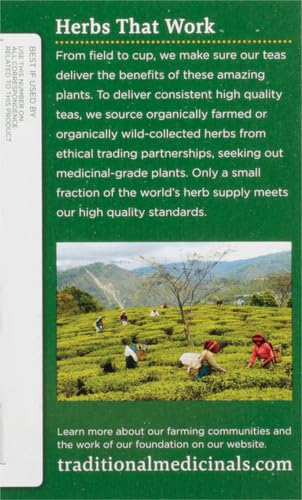Traditional Medicinals Organic, Hibiscus Tea - Supports Normal Heart Health & Cardiovascular Wellness - Kosher, Non-GMO, Caffeine-Free, Compostable - 16 Tea Bags (Pack of 2)