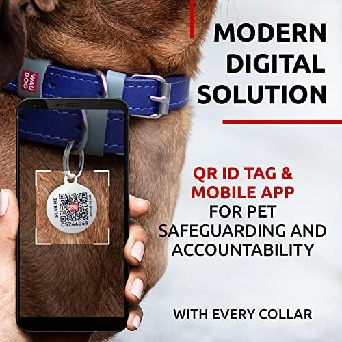 WAUDOG Long Lasting Leather Dog Collar for Large Dogs, Medium & Small Dogs - Adjustable Classic Puppy Collars for Large Breed Dogs - Boy & Girl Dog Collars with Durable Buckle, D-Ring & QR Dog Tag
