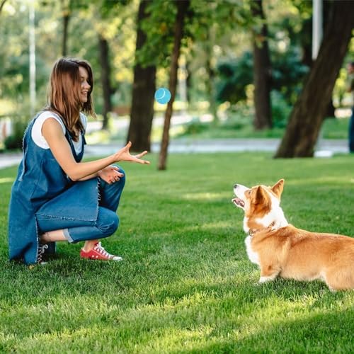 PrimePets Durable Dog Tennis Balls 3 Pack, 2.5” High-Bounce Non-Squeaky Silent Dog Toy Balls for Fetch & Outdoor Training, Suitable for Small and Medium Dogs