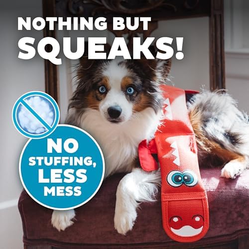 Outward Hound Fire Biterz Red Lizard, Plush Firehose Material Interactive Dog Toy, Large