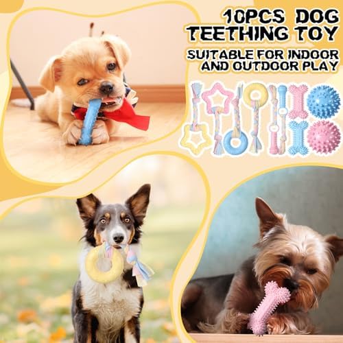 Syhood 60 Pcs Squeaky Dog Toys Bulk Plush Rope, Multicolor, Cute Style