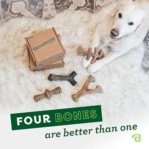 Benebone Large Dog Toys for Aggressive Chewers – Under 90 lbs, 4 Count, Large (Pack of 8)