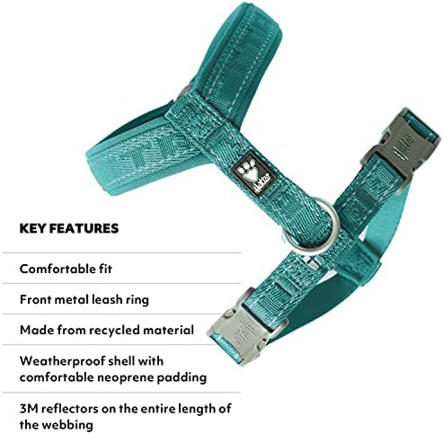 Hurtta Casual ECO Dog Y-Harness, Peacock, 35-39 in
