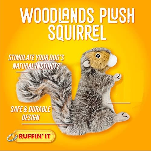RUFFIN' IT Woodlands, Plush Squirrel, 6 in Squeaky Soft Stuffed, Dog Toy