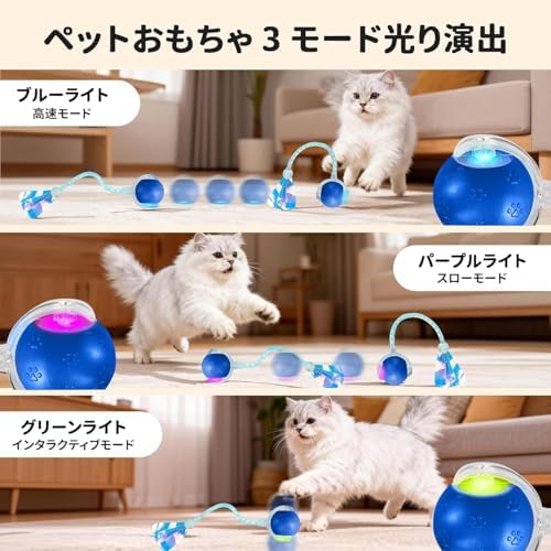 Rocfish Durable Interactive Cat Toys for Indoor Cats (blue03, 03)