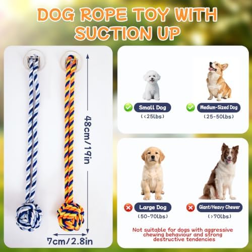 Dog Rope Toy with Suction Cup Interactive Tug of War Toy 2Pcs